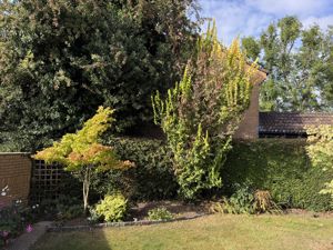 Garden- click for photo gallery